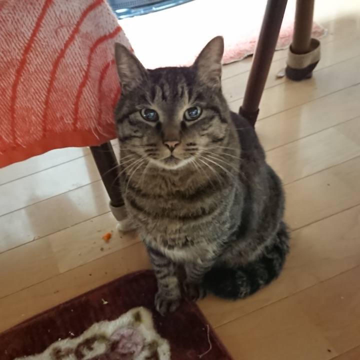 40b957e0 c928 4fe8 bb19 fcd75b23419b 1638651235624