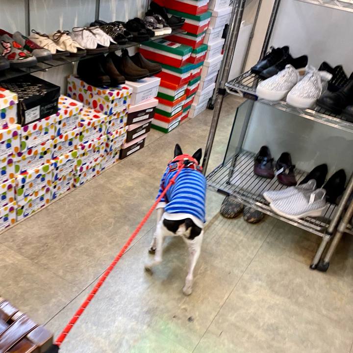 40b9653a 2324 41bc a781 c61647c554d7 1620117956716