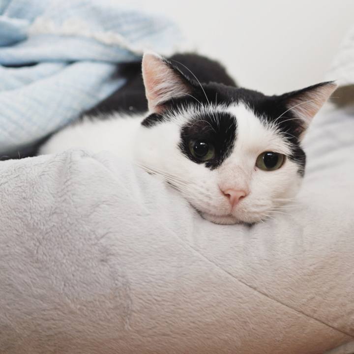 40b98937 0225 401e 8b6c 77f117651968 1601099768052