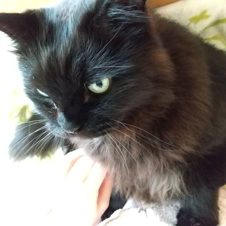 40b9ab85 0541 4e9e a41b 17a8eeb6e2a9 1618963844300