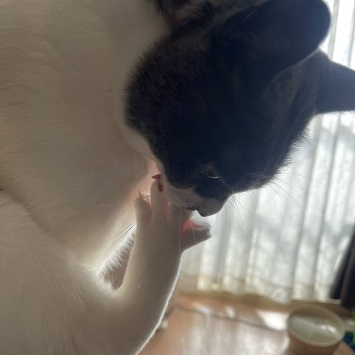 40b9cd5b 386f 4f38 a23e 86cb4b14e3b6 1701157698682