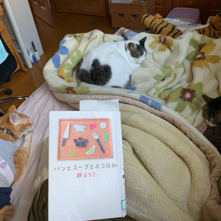 40b9f58b b922 4822 82dc 9c44bff3c0d8 1619943884914