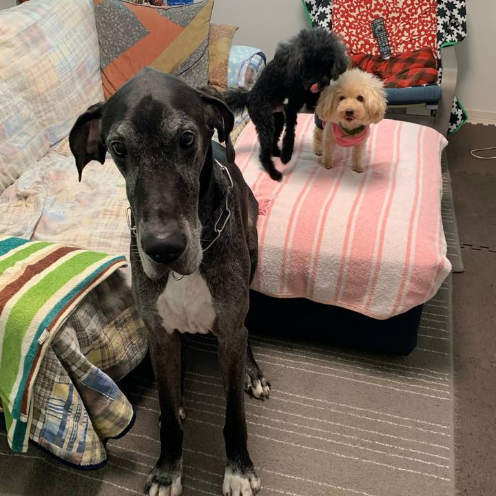 40ba23f9 8eec 4ac6 9788 97c4f3c66d8a 1602543269704