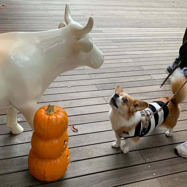 40ba2ebb 48e5 40cb 8b47 bdc2282e7522 1634529765543