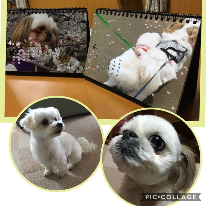 40ba61c2 c25b 4d5a ba32 3038c6506196 1554212739956