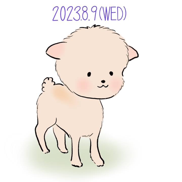 40ba63e9 3ca0 4e91 a5ae 119b8bd9c50f 1691584967969