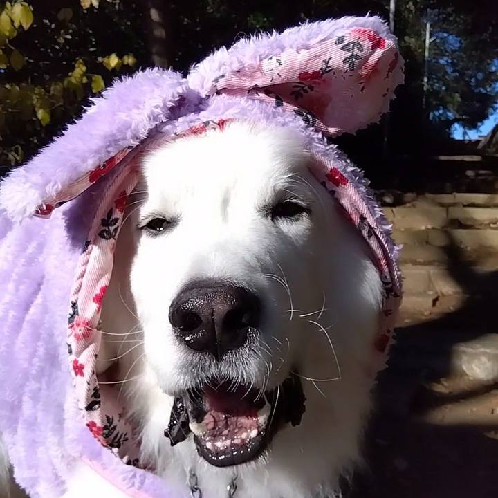 40ba68e7 5a74 4a4f 9a99 296693151a04 1672647821561