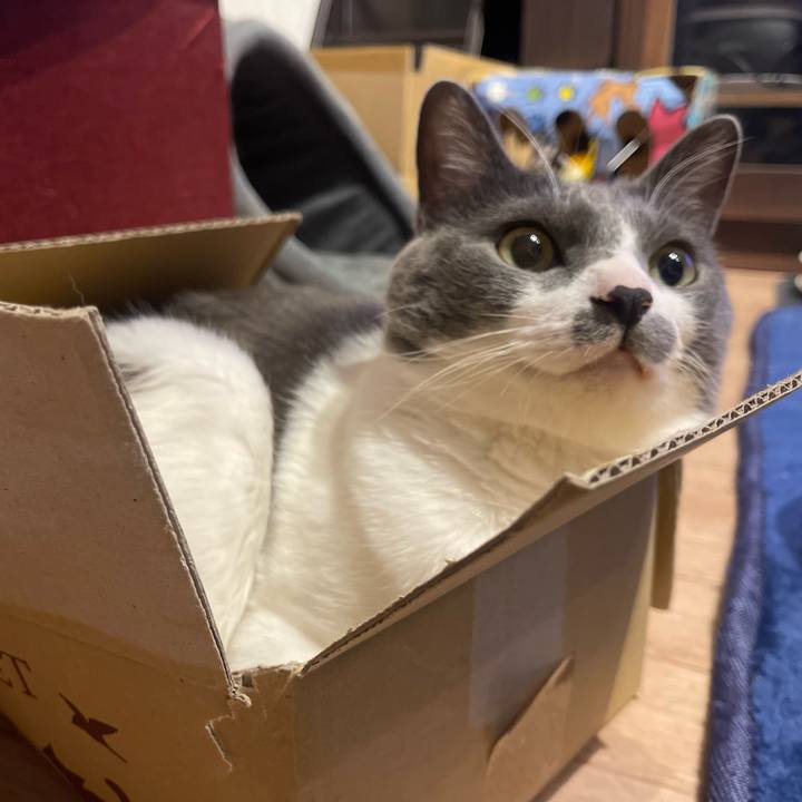 40ba84f9 e2ee 4178 a970 84536b9bb370 1647179850751