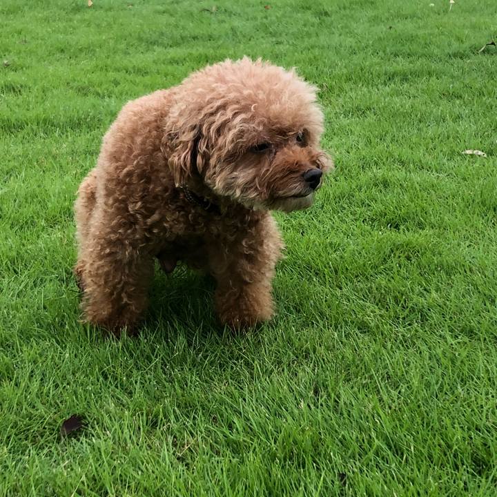 40ba8990 3120 4e51 87ca daf81180f907 1549431729170