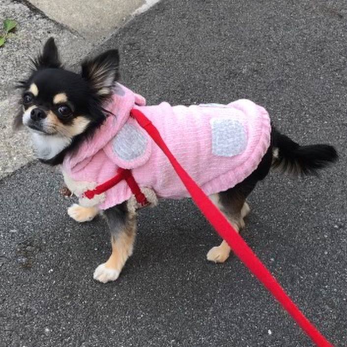 40bab96c db7e 446b aea4 ade6098ccdc4 1575432194994