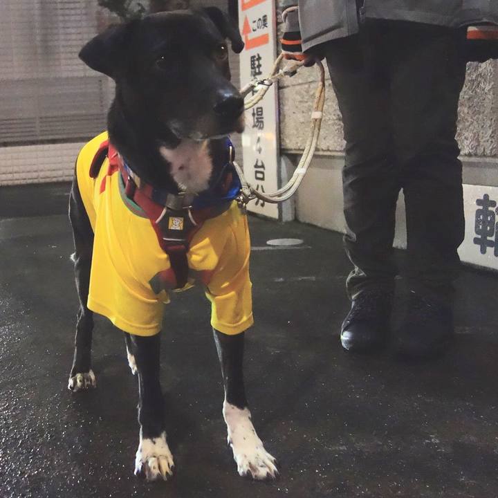 40babb64 e57d 40d0 94db 5298d541fcff 1641899519130