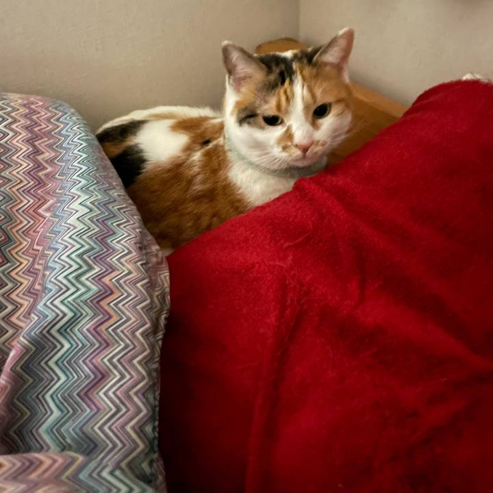 40bac6f5 b798 426d 878b a507864cfb03 1676149101531