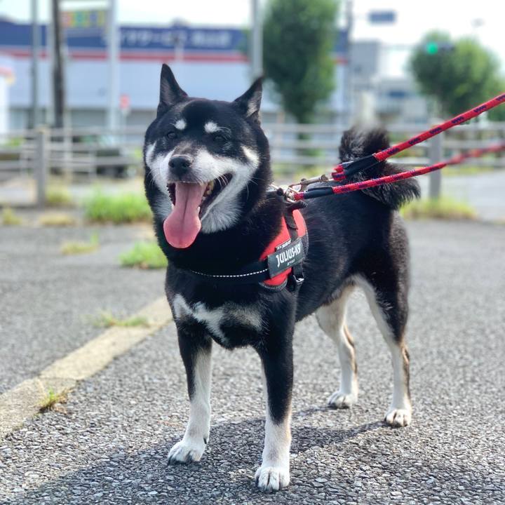 40bad197 1030 4fe5 bb01 ec732ce04cab 1695605288150