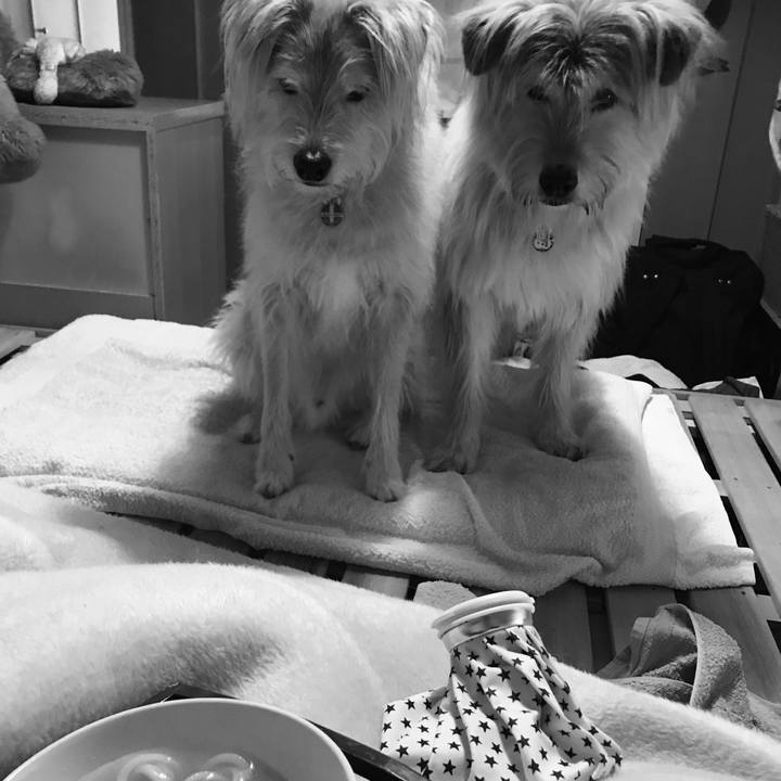 40bae2f2 56e9 48d6 b5d4 0b49ffeedee4 1579164085596