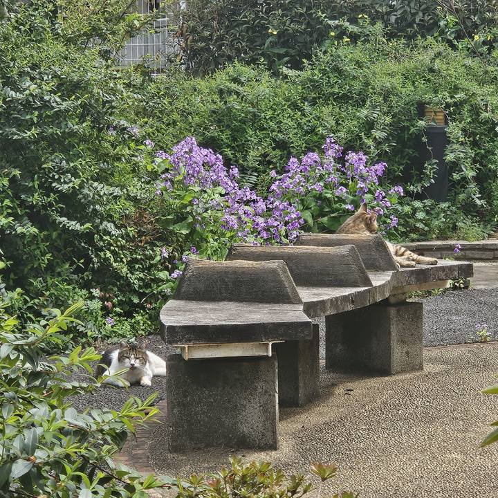 40baf32d e1f3 4036 af47 8fe68ba20b21 1712548159477