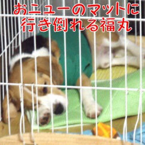 40bb2e08 e6c3 409c aaa6 4a847104c11b 1718582990326