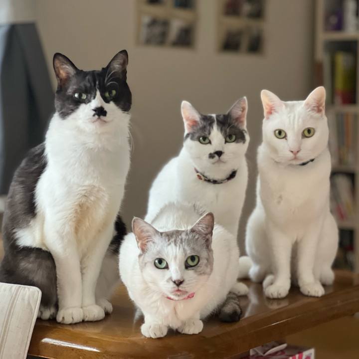 40bb3aed fc22 4ef0 b7e4 f542b63857bd 1711586253181