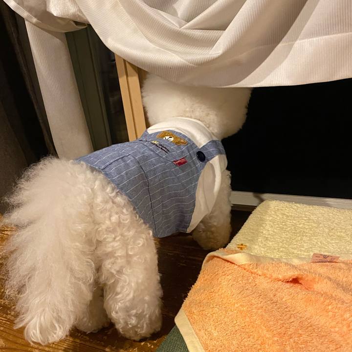 40bb3d9d bf6b 4a73 b7d6 f7e1135854af 1686480281679