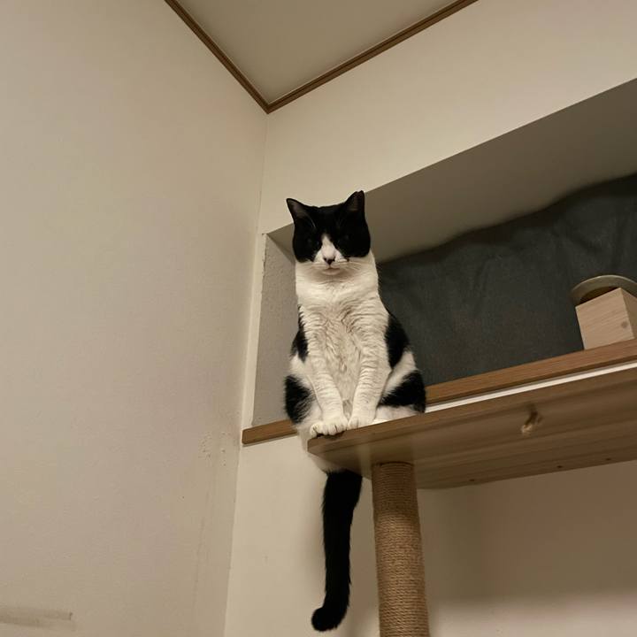 40bbaffa 6741 480b bbd0 8eff71f86e8c 1762551279916