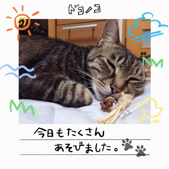 40bc2160 8fbe 4ec8 ae8f bb65661978f2 1755144821900