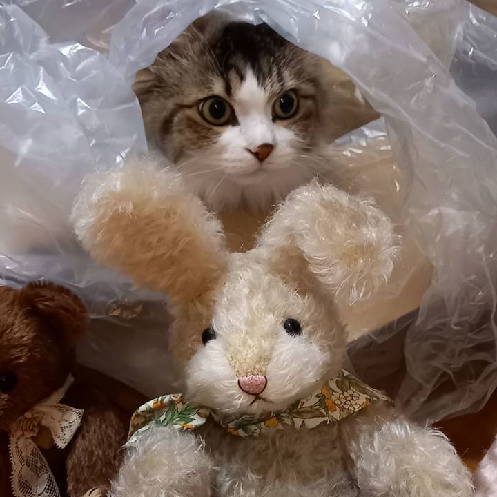 40bc257d 2f80 48f5 822a 92cad4d882b9 1651927352524