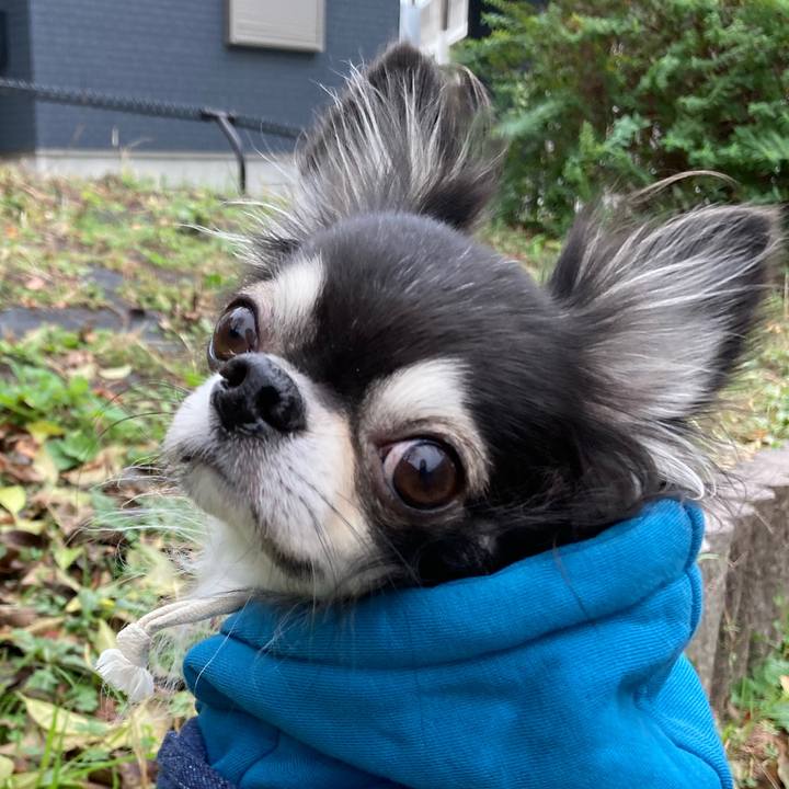 40bc39fc 770a 4918 b246 dc3aac39b28d 1669475008424