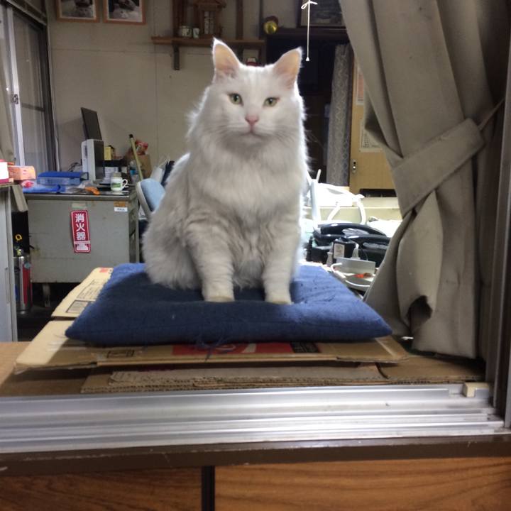 40bc41d4 d114 47f6 bb42 5f30a4f5ab20 1512167110732