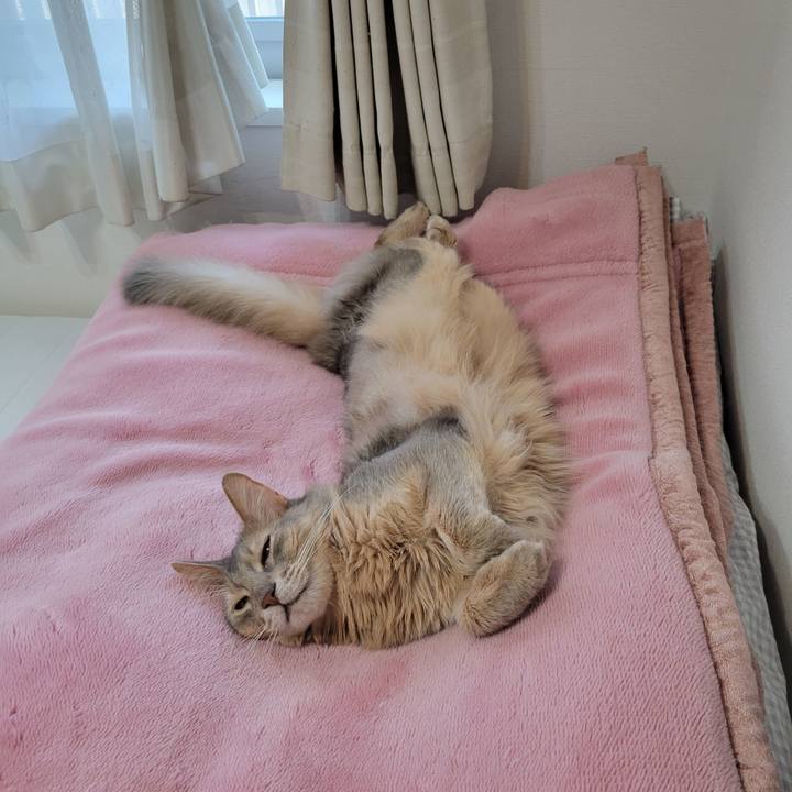 40bc6d85 a2ba 417f 9b02 4e41a6b76310 1652313993754