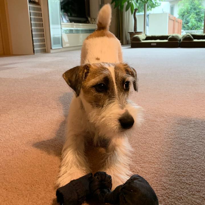 40bca303 e580 47b4 b39f 02f5722102fa 1572307780484