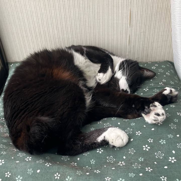 40bcba69 1ece 4038 8bee b0a788078699 1720496712222