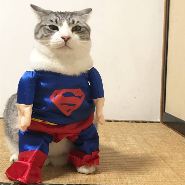 40bcde2e 1241 407b 8379 05ef3d2f4922 1575889448352