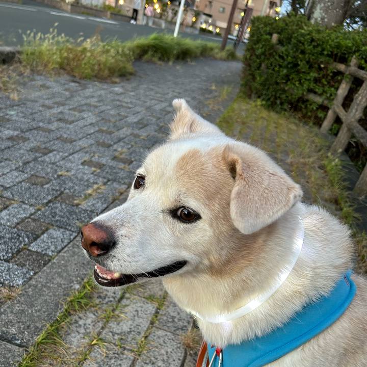 40bd1ea1 46fd 4a0f 8bcd b8e8fdf537f4 1696679096487