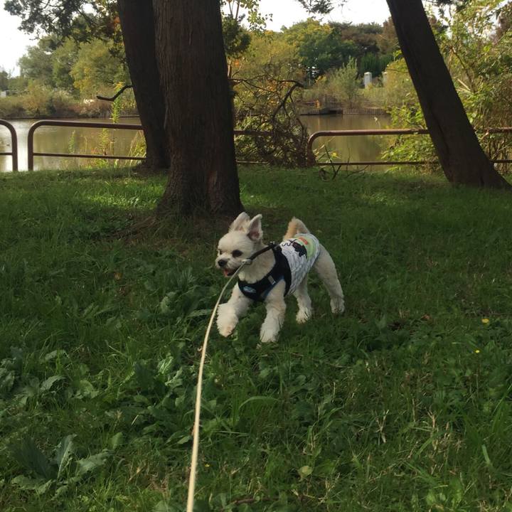 40bd250e ab7b 4c0e a27f 62f844f54f2f 1541582969948