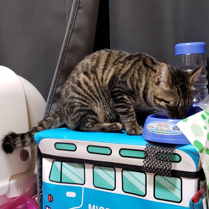 40bd7fec bff6 4516 9fc9 b68f2dfd0fa5 1542800566995