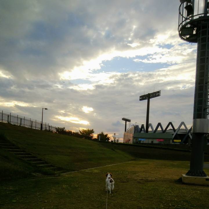 40bda7e5 5d02 4ad1 8469 4c7e7fe00f0a 1539688338993