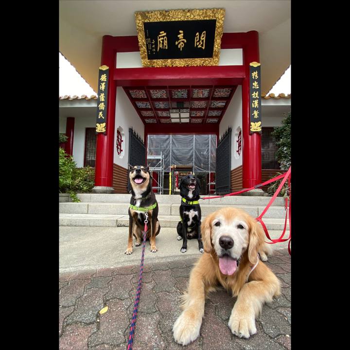 40be0b18 a8a2 472d ad68 01c8a9924354 1601709421021