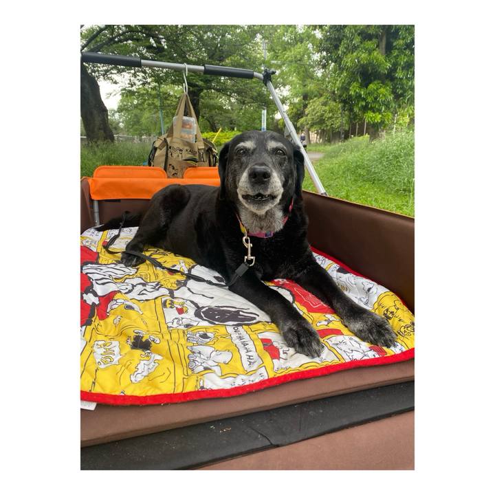 40be305e f87e 407f aa7a cbb51e57b3f8 1715524046141