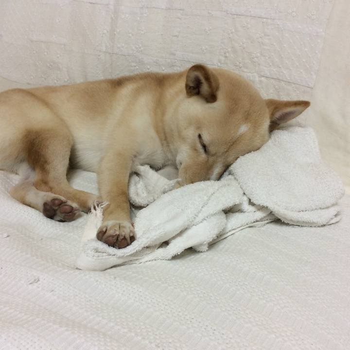 40be3eab a26f 416b 9515 6f91fdecf511 1508758872898