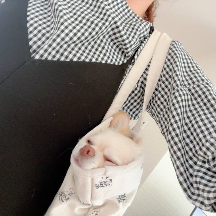 40be4080 63c3 450c 82e1 b8de2f4de0c3 1713853496114