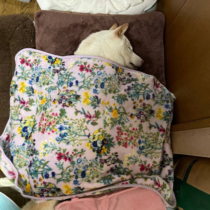 40be8c8d e78d 476d 8a1e 26ea5e48fb03 1636112593964