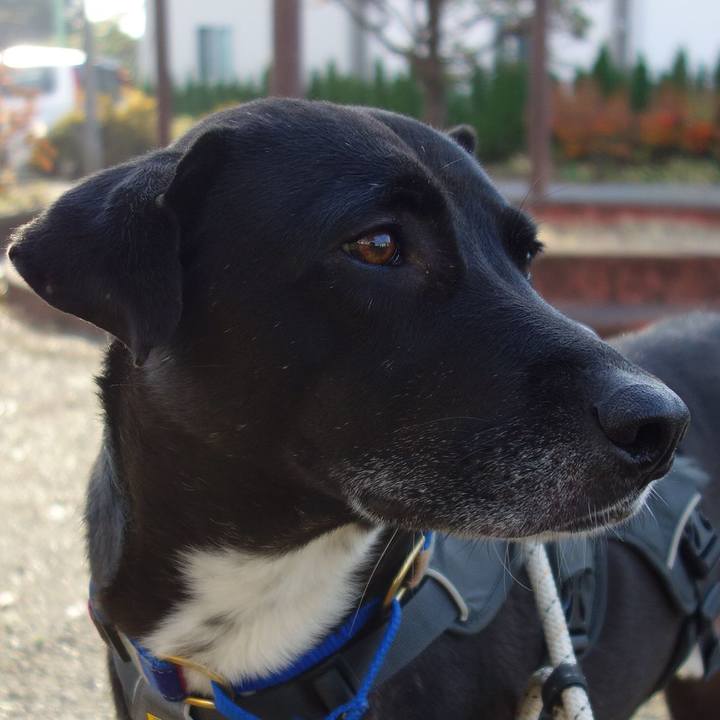 40be924f 6cdf 4212 aad0 09c88438f8da 1639270920278