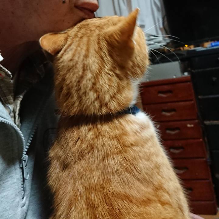 40beadb6 4ffb 48fd 9330 a61db7ff7bd1 1608235654140