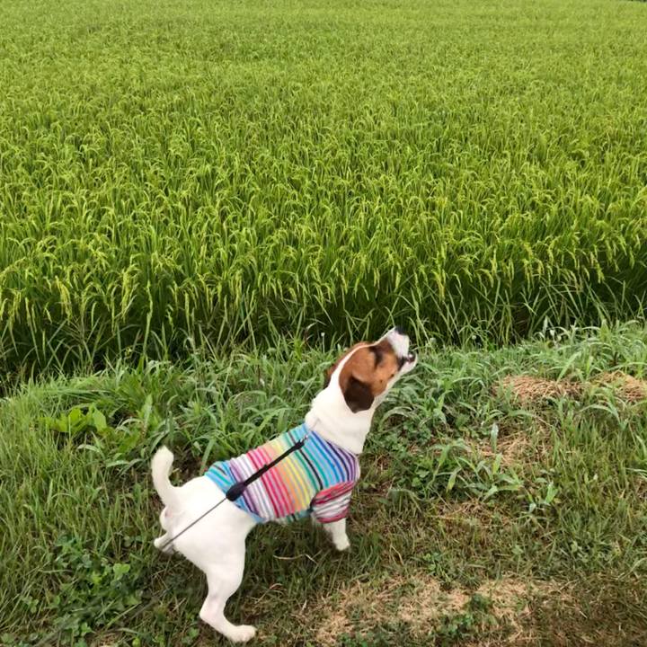 40bebb12 249b 4127 b208 708f9e10bb9b 1566345293448