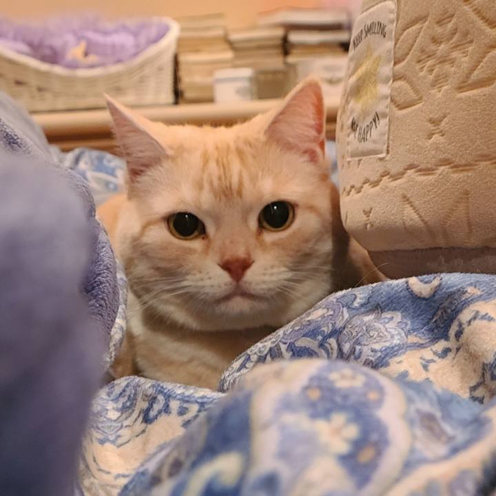 40bed20d 429d 49c6 860f 72c098b64be1 1616369028345