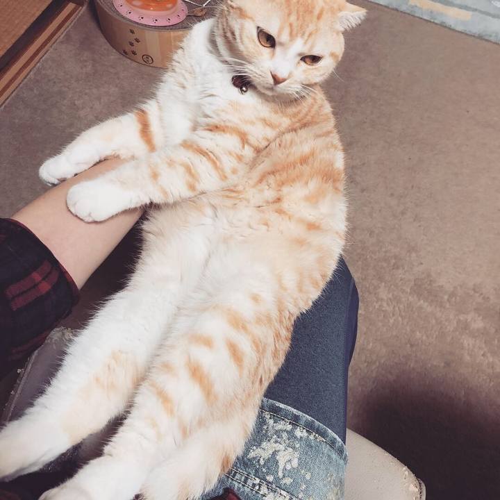 40bee92e e9af 4cc1 abd3 2f8c67487f0c 1540705855629