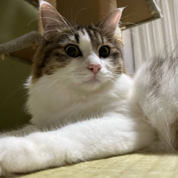 40bef8fe 4101 4eda bb51 43ebe585b466 1725362950557