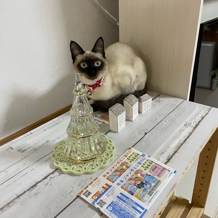 40bf1c90 4ea3 44b1 88f9 a38cc01143b6 1703791728881