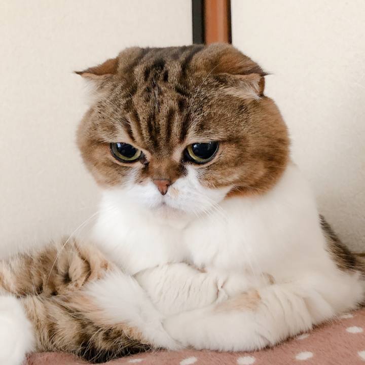 40bf2722 b1d7 448e b316 2d4caba3ad9a 1575094497748