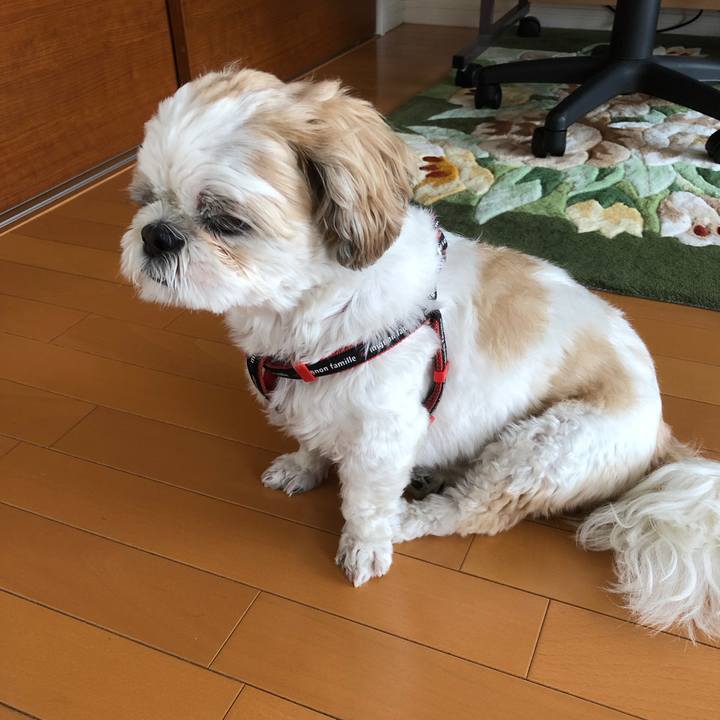 40bf8d63 01e9 440d 803f 3e9f872b3e2b 1566251152856