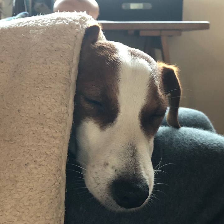 40bf9a21 cd7c 4c00 a653 3a53deaf34f7 1545806689306